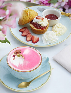 Ace Tea London is at Hankyu Department Store Osaka